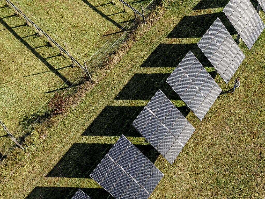 Sunrun, Block e Nvidia: i preferiti degli analisti