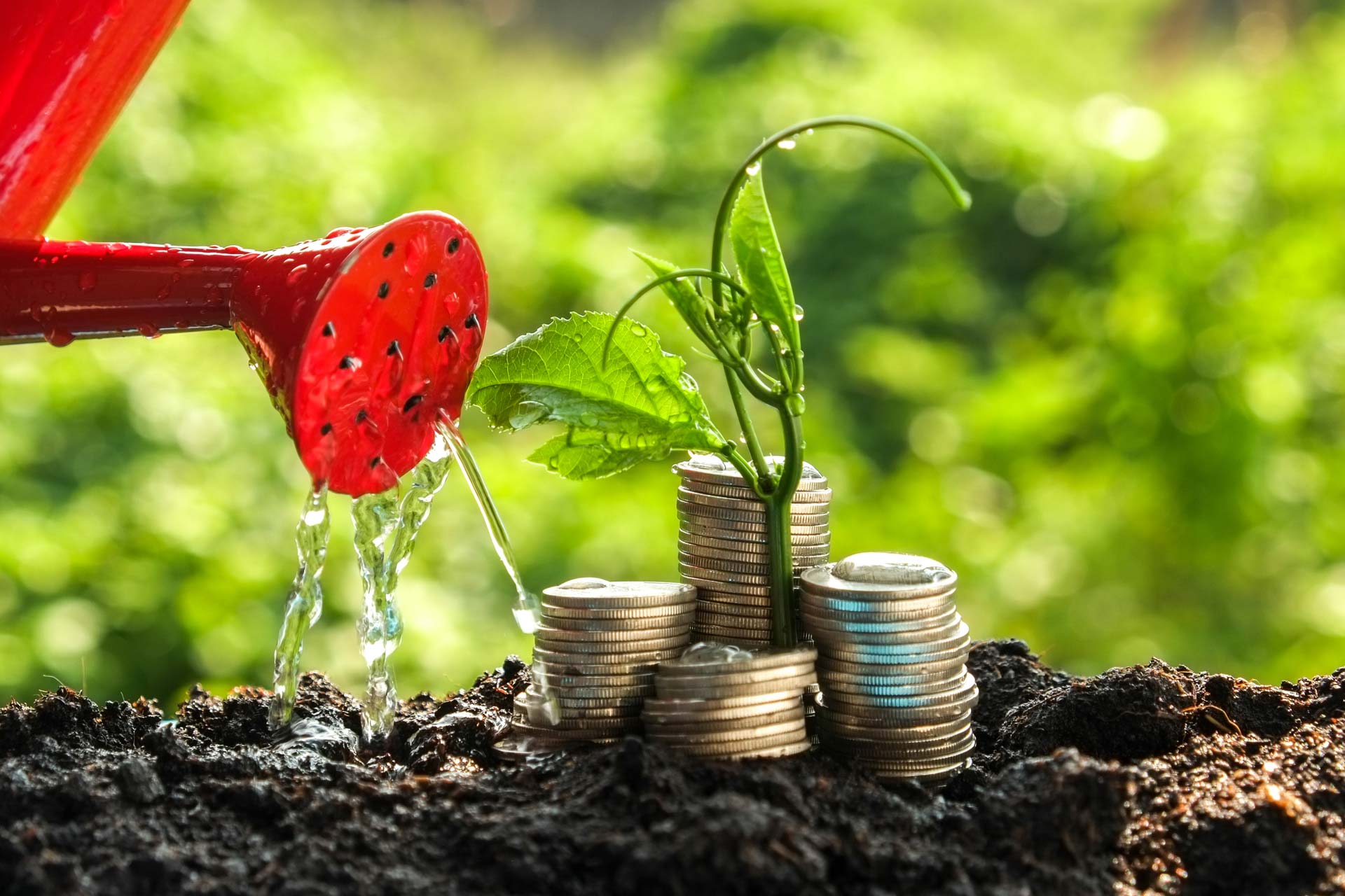 Come diventare Trader in Azioni (parte 2)