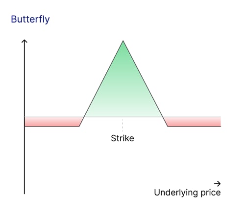 articoli approfondimento Butterfly
